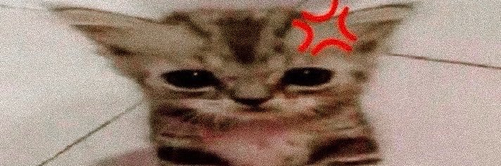 toomchntenough's profile banner image