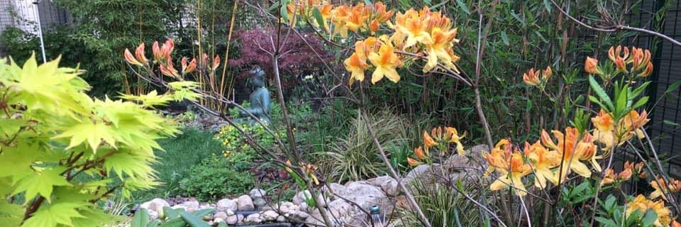 Simona108s's profile banner image