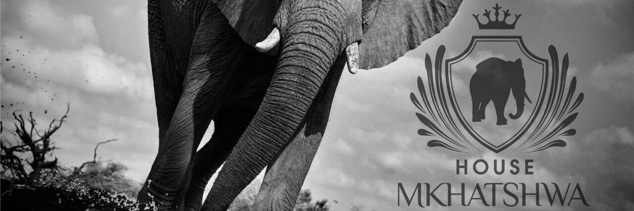 LAW_S_MK's profile banner image