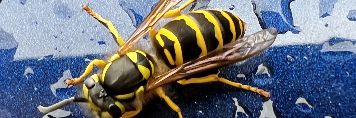 randytoad🇺🇦 banner