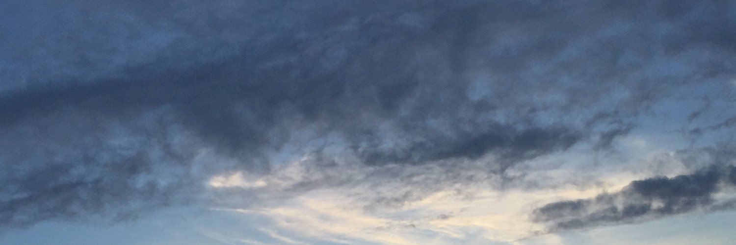 ActiveOwls's profile banner image