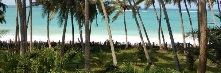 TheyCallHer_Dee's profile banner image
