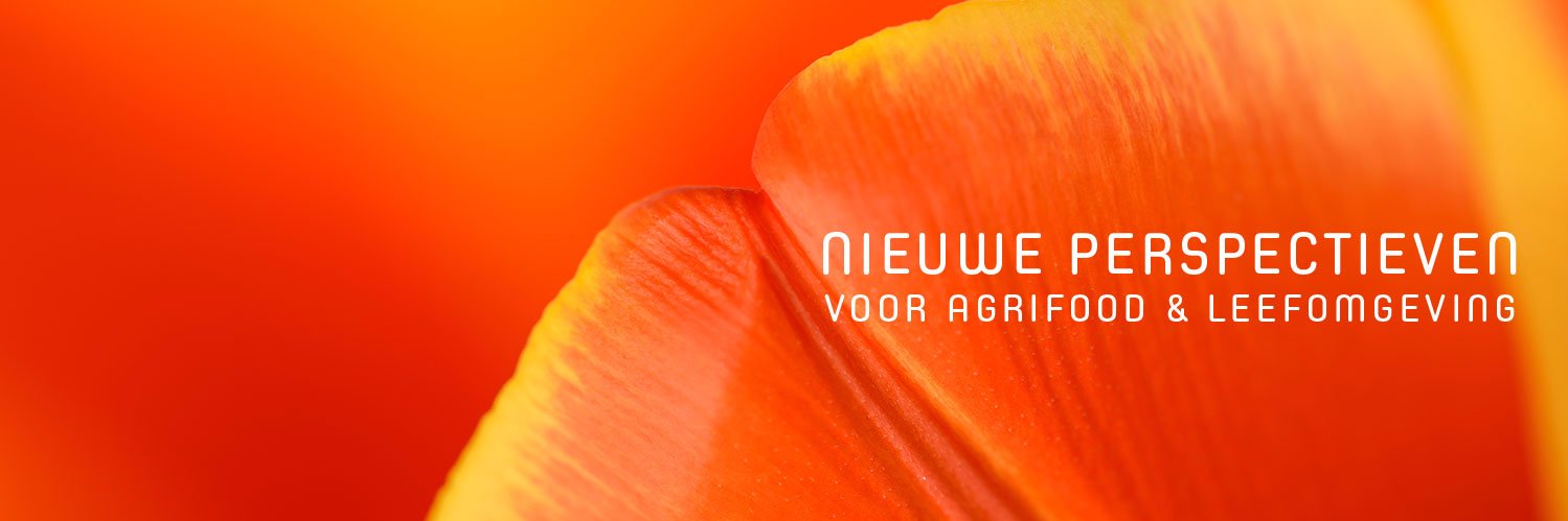 ImagroBV's profile banner image