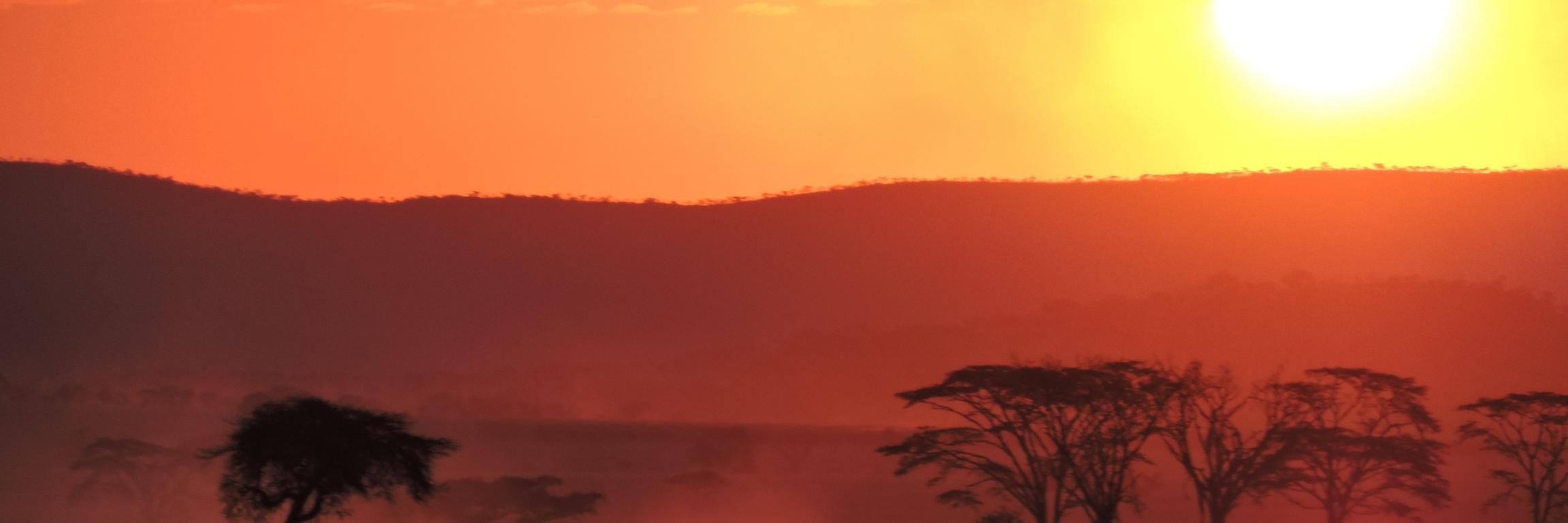 PachecoFerna's profile banner image
