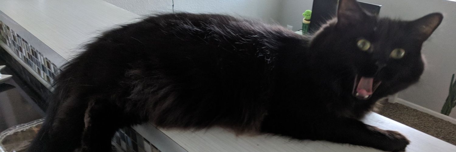 _choromi's profile banner image
