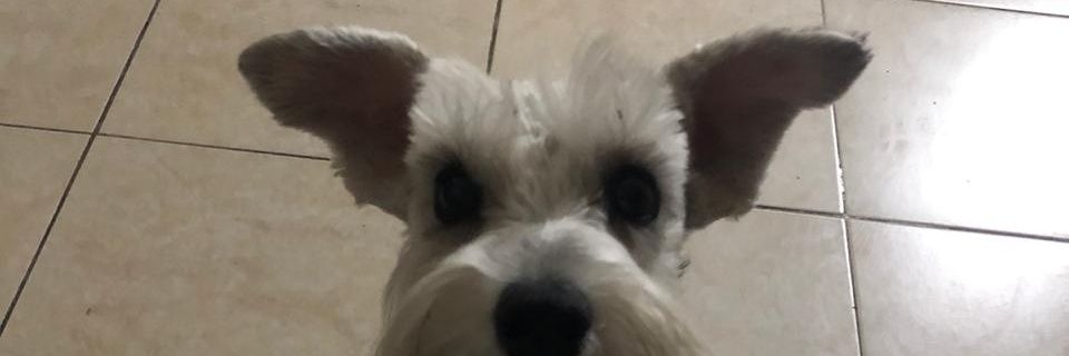 Fridagzz8's profile banner image