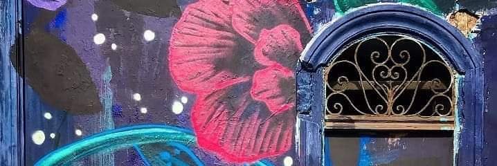 caromccallock's profile banner image