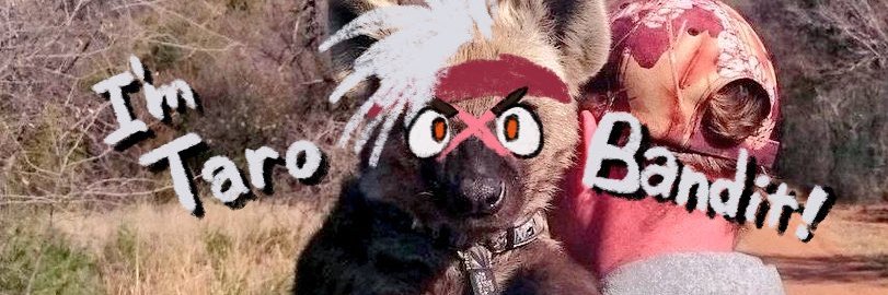 🔞したっぱ太郎/Tarobandit's banner