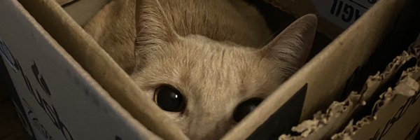 _sathhya Profile Banner