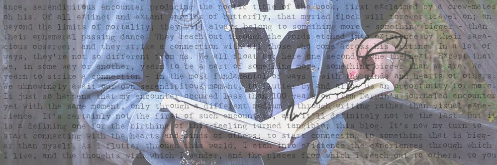 Luis_Carrillo13's profile banner image