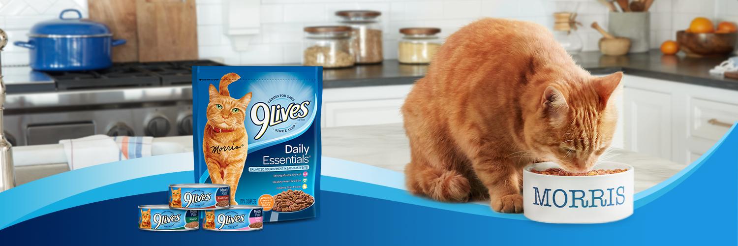 9Lives banner