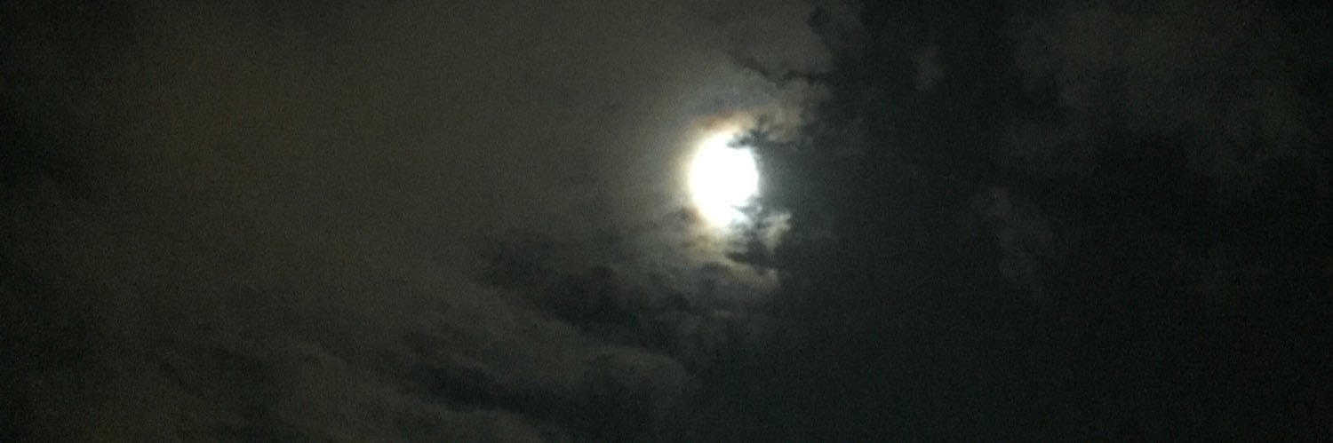 dokuz's profile banner image