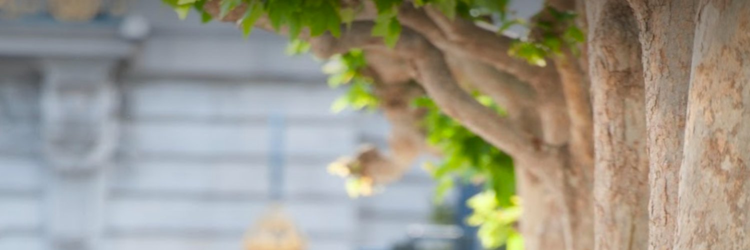pingdani's profile banner image