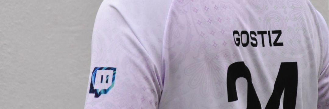 Gostiz banner