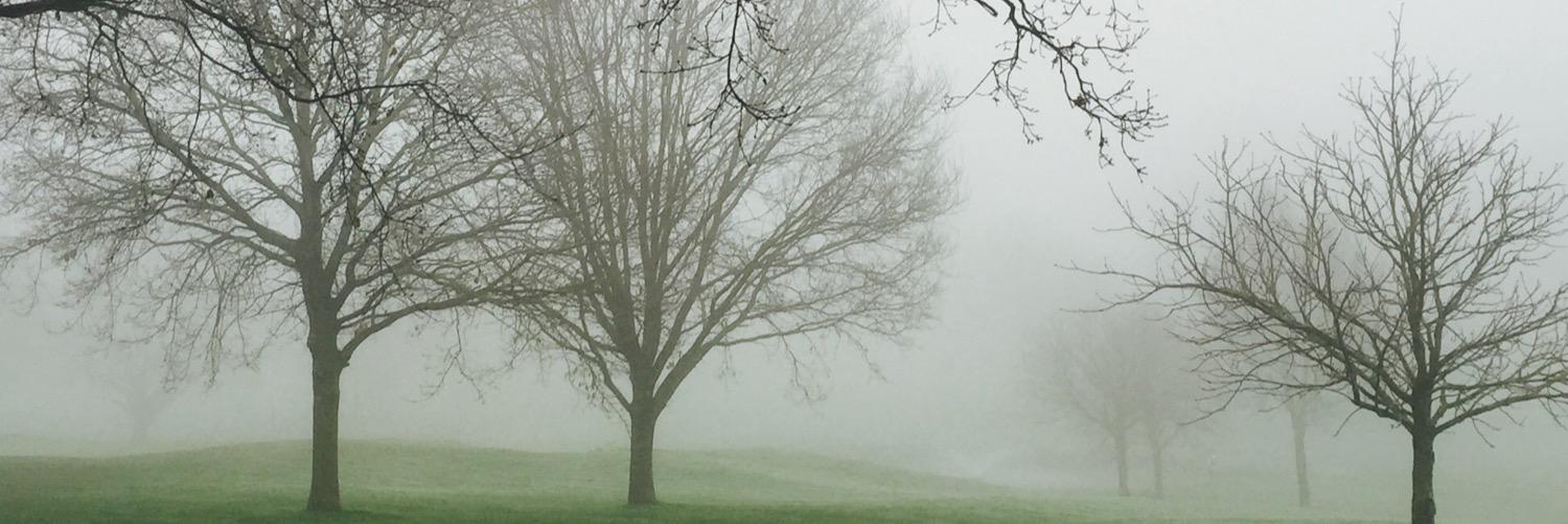 doineedthis's profile banner image