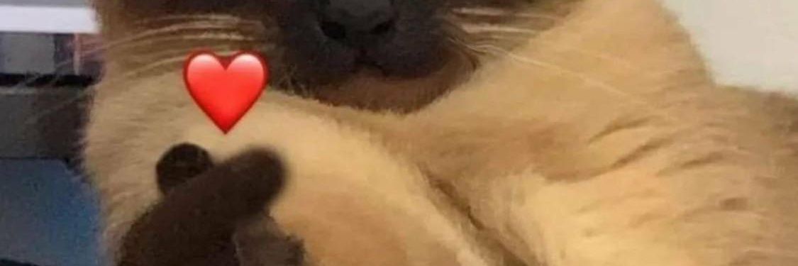 clwoned's profile banner image