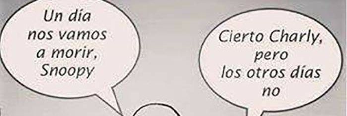 FerLoTol's profile banner image