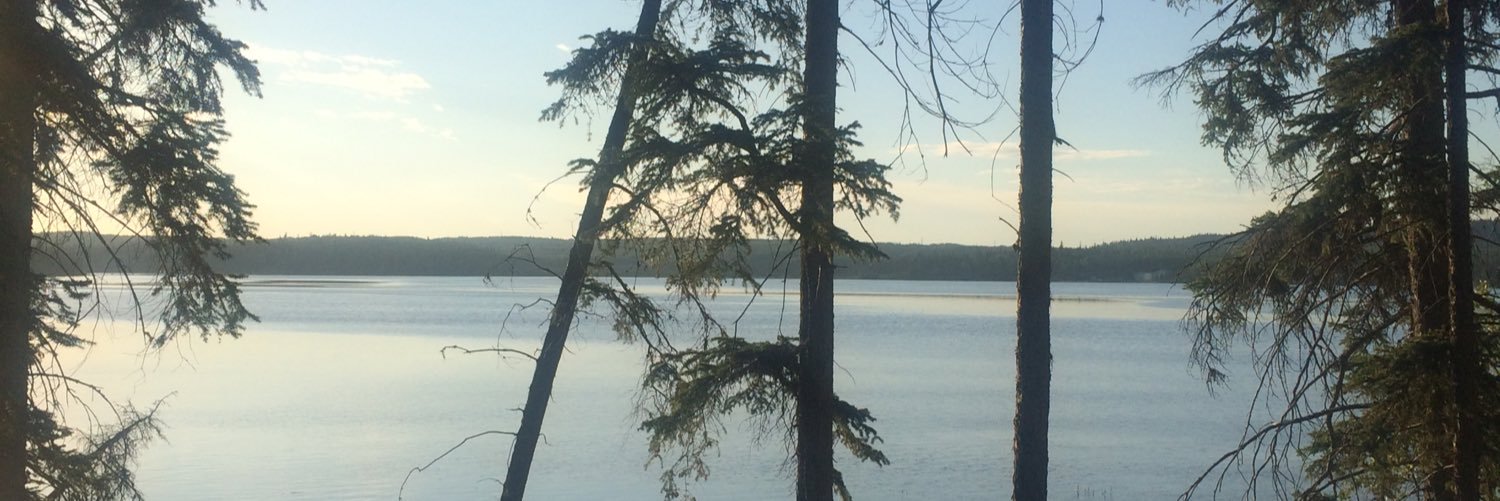 MrsSMalkin's profile banner image