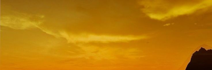maicoray's profile banner image