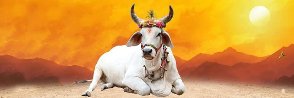 DALPAT SINGH BHATI banner