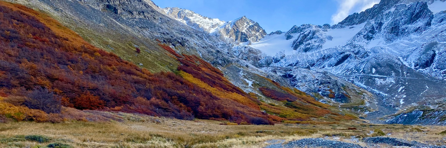 Luis Pedernera banner
