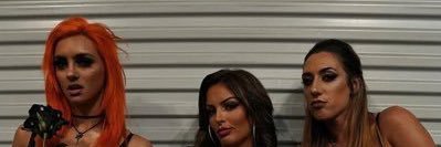 Mandy Rose Lyons Parody Account banner