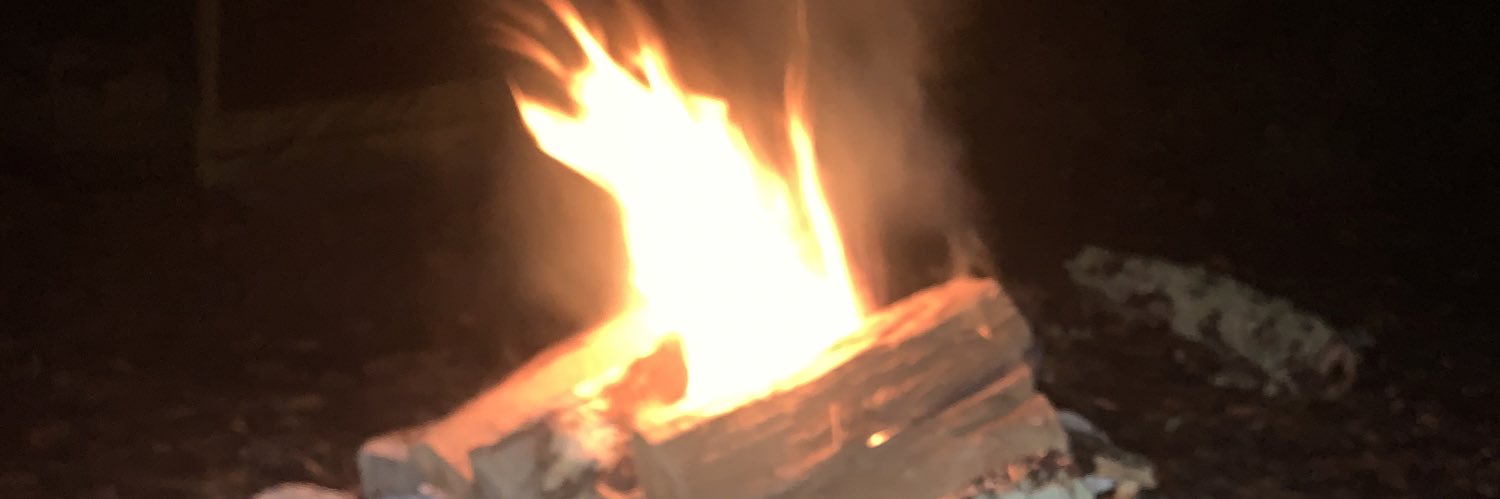 Bullish Bugger banner