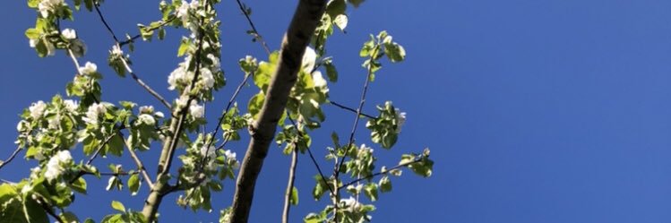 Mari Julku banner