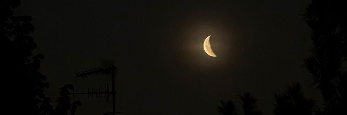 Secchicandi 🇷🇺 (unvaccinated) banner