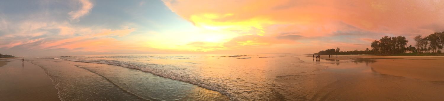 sandytweeps's profile banner image