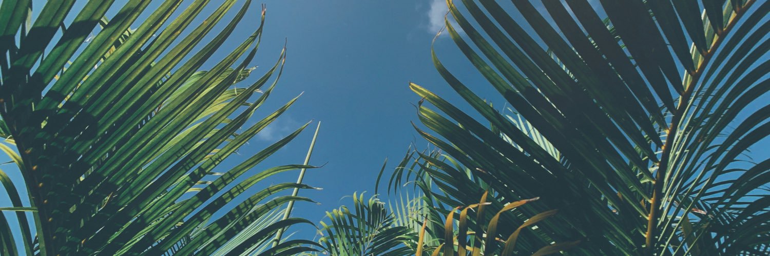 киси бы banner