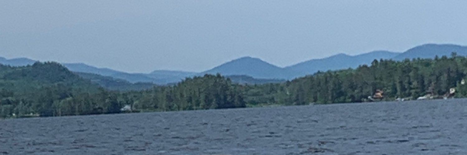 Dianne Driscoll 🇺🇸 banner