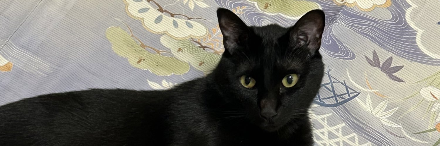 猫とおべべ banner