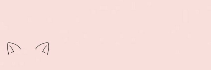 lianne | CryptoCamper banner