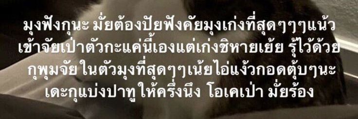 เส้นก็เหนื่อย banner