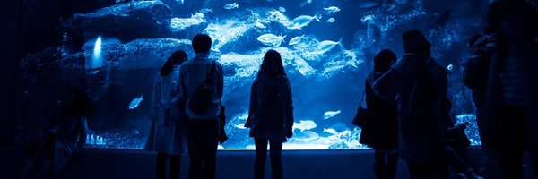 KokiTukada Profile Banner