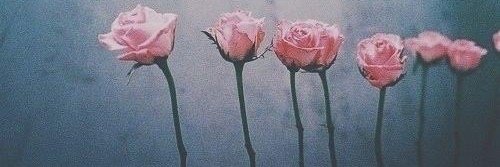ValeeCascio's profile banner image