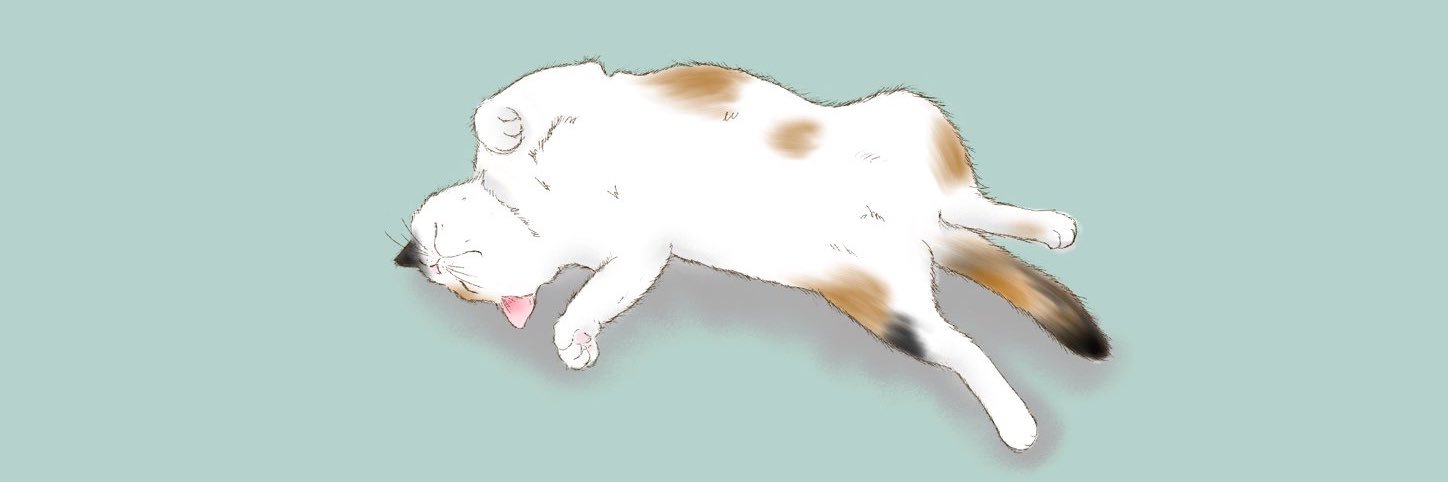 vivirina's profile banner image