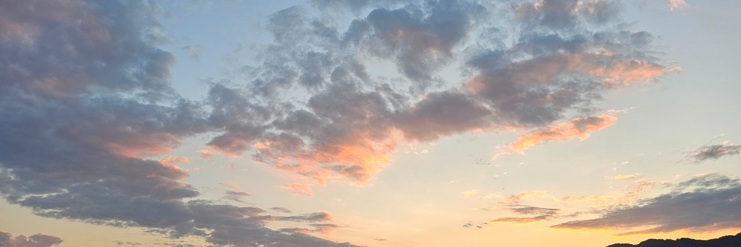 ayuhako's profile banner image