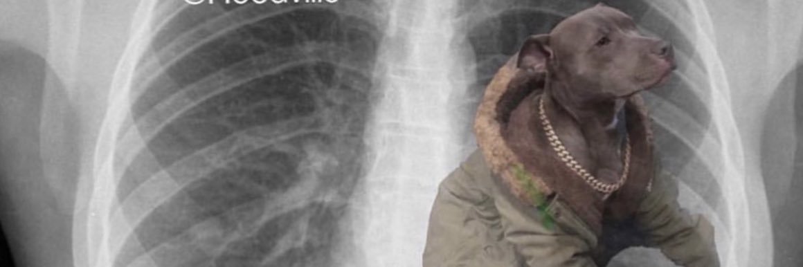 Jalen Ray “J RAY” banner