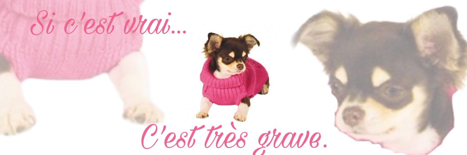 Si c’est vrai c’est très grave bot (vraigrave_bot) Twitter