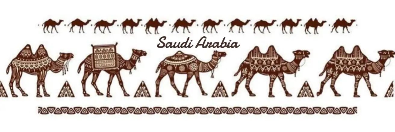 لولوه 🇸🇦✨️'s banner