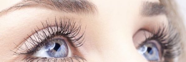 ̲S̲a̲l̲e̲h̲ banner