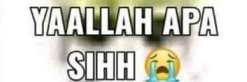 soursally banner