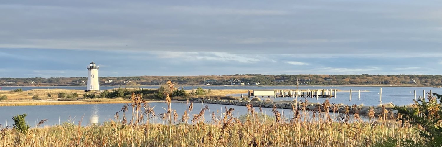 🇺🇸 Tim Morrison 🇺🇸 banner