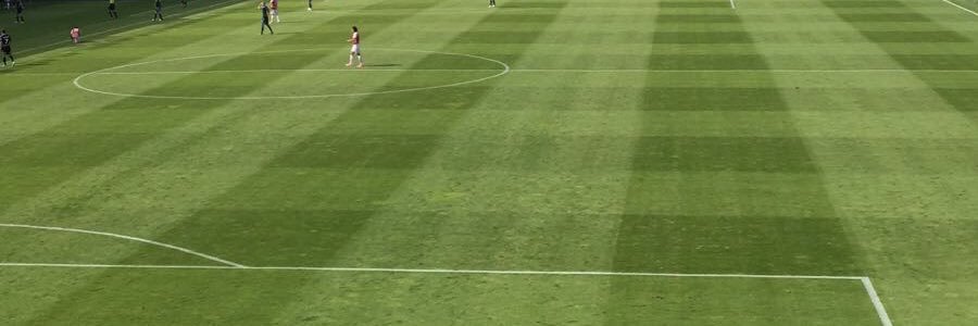 Martin Bergman banner