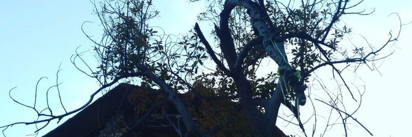 rcruz Profile Banner