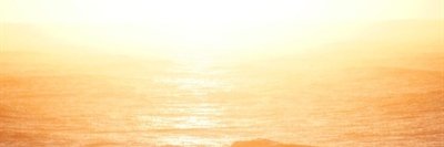 Apeacox banner