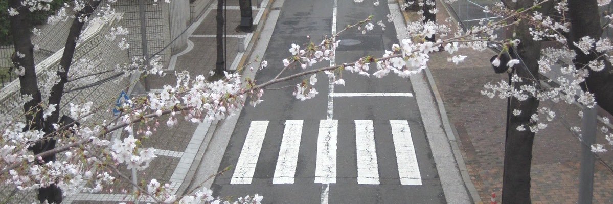 ‘lia ⊹☾₊⟡⋆ banner