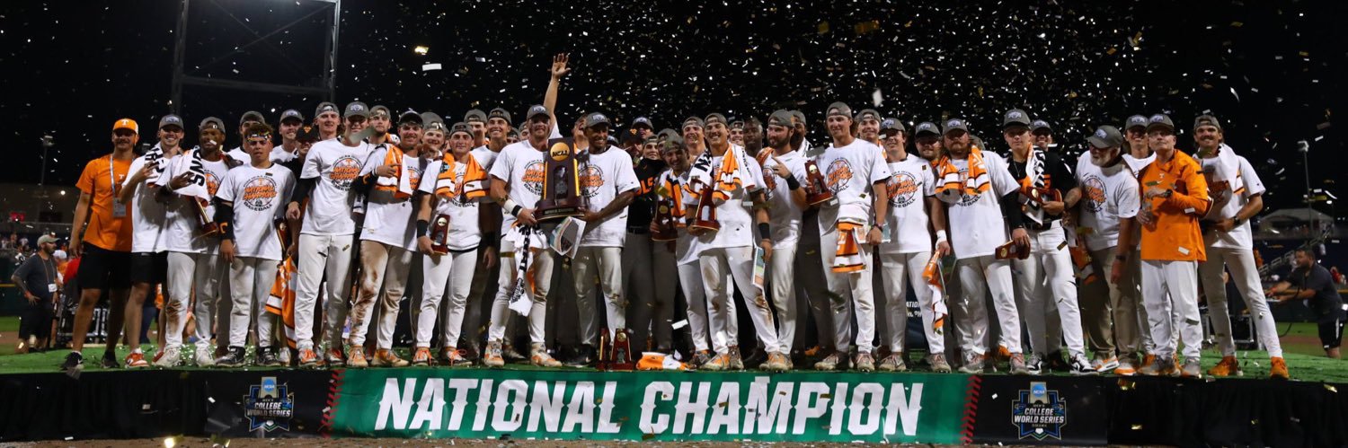 Diamond Vols's banner